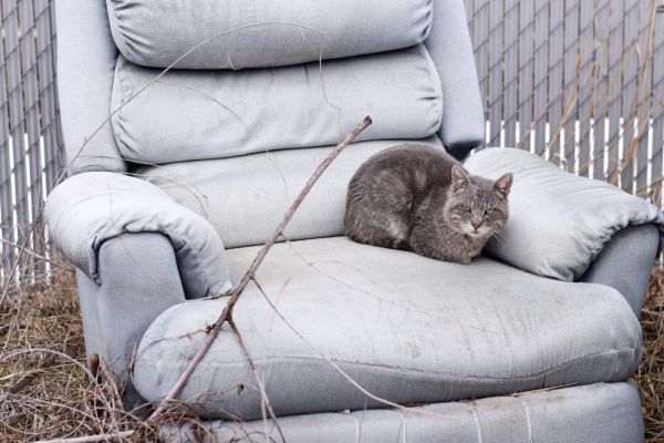 Recliner Disposal in North Richland Hills